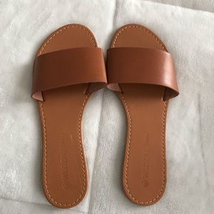 Brown slides